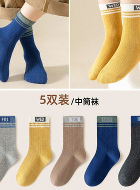 秋冬休闲运动男童星期中筒袜