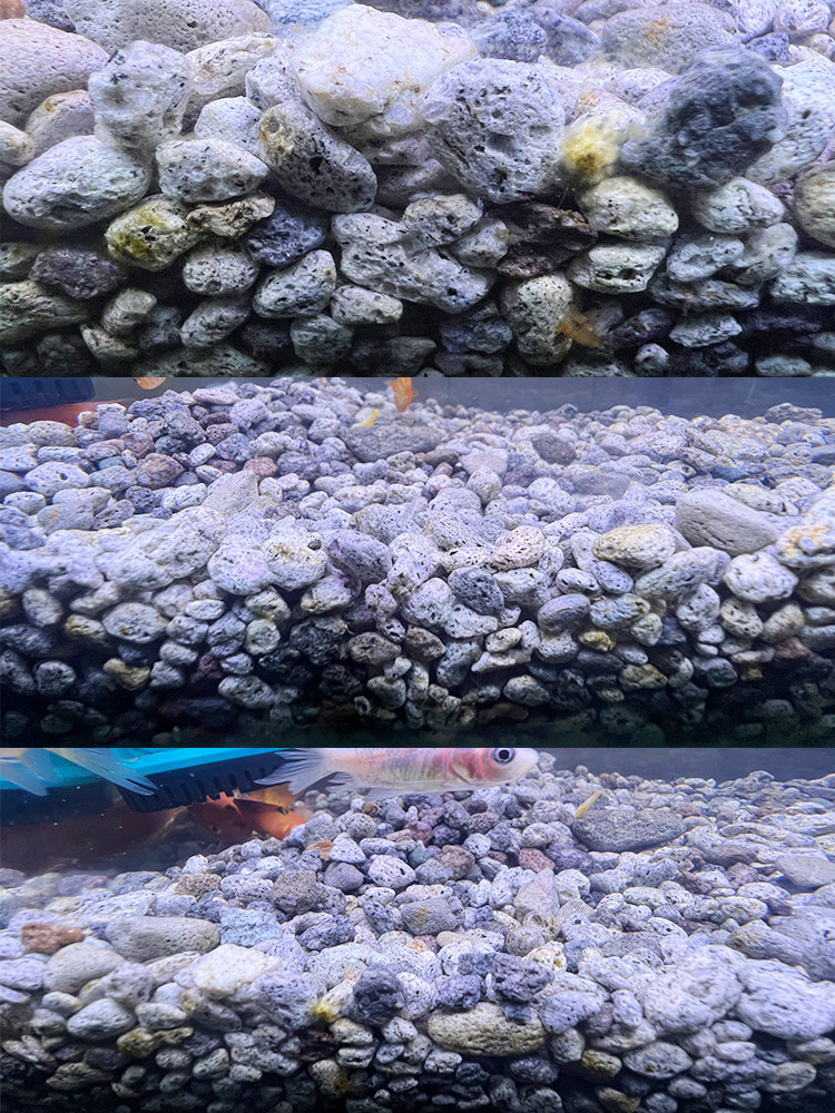 培菌原生鱼龟缸沙子溪流沙雷龙鱼草缸底沙天然造景沙石三湖南美,宠物/宠物食品及用品,造景/装饰,淘宝优惠券,粉丝福利购,淘宝优惠卷