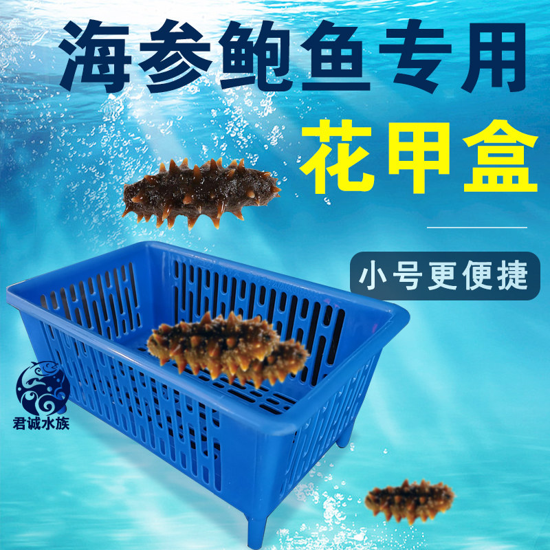 花甲盒可伸缩海鲜筐花甲花蛤吐沙