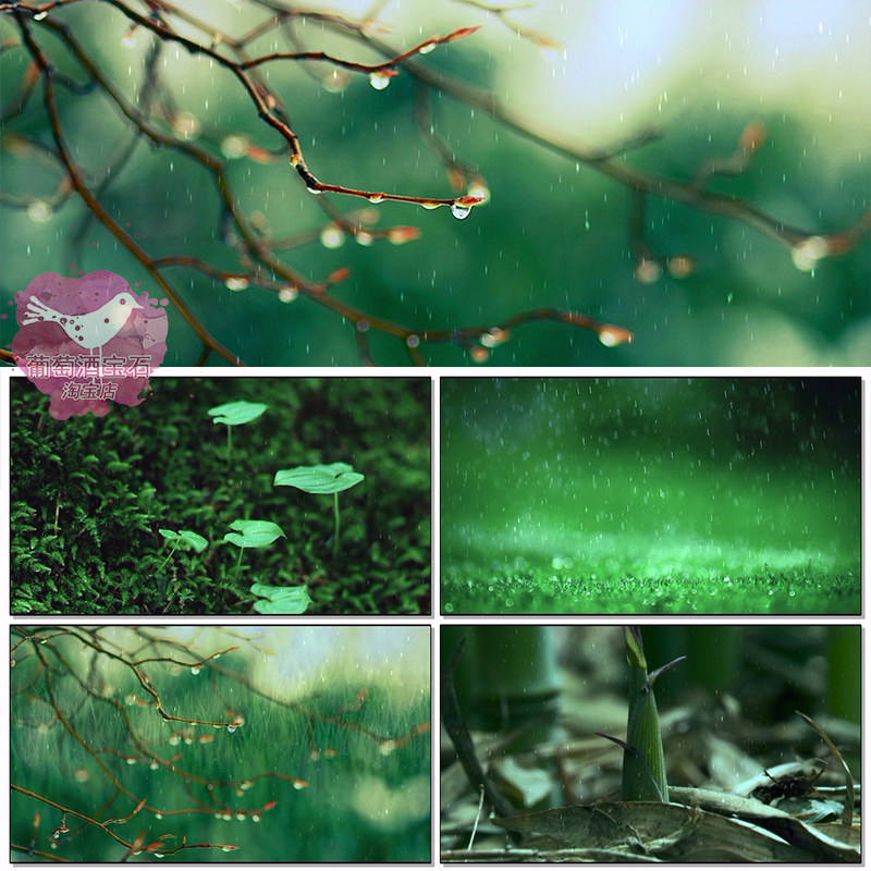 《世纪春雨》春雨春天绿意生机水滴舞蹈演出舞台led背景视频素材