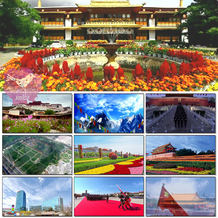 格桑花的祝福西藏天路少数民族草原年会晚会led大屏背景视频素材