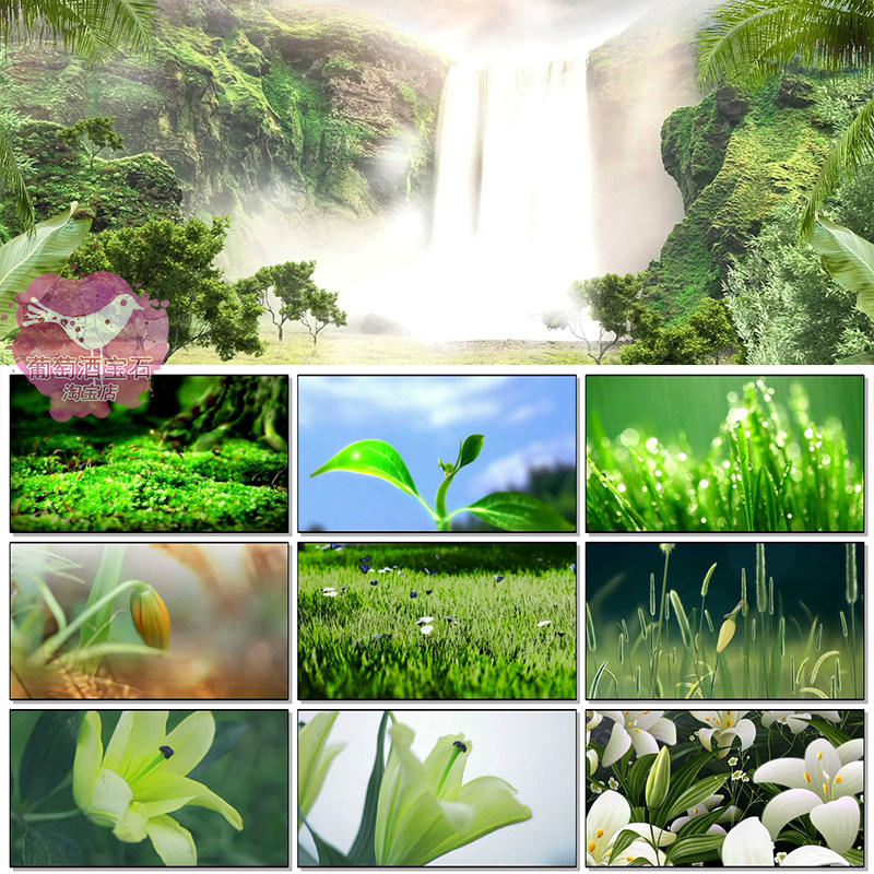 心田上的百合花诗歌朗诵婚庆婚礼开场大屏幕led背景视频素材