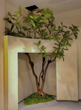 仿真绿植橱窗天井凤凰木造景