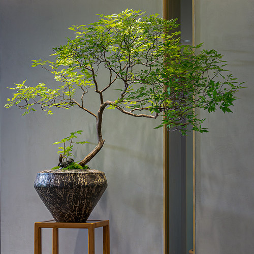 轻奢镁泥花盆花器摆件