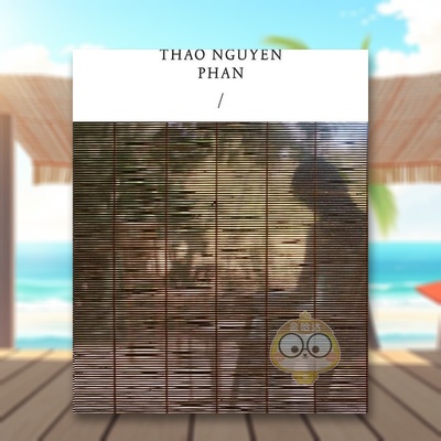 【预售】潘涛阮影子的轮回Thao Nguyen Phan Reincarnations of Shadows 英文艺术家艺术工作室进口原版书Phan  Thao Nguyen Mar书