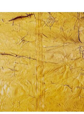 【现货】大卫·哈蒙斯 David Hammons 原版英文艺术画册画集