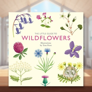 【预售】【袖珍插画指南】野花英文插画原画设定集进口原版外版书精装【Little Guides】Wildflowers DaviesQuadrille Publishin书