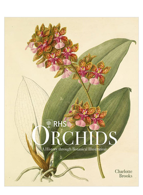 【现货】皇家园艺协会：兰花 插画图鉴 RHS Orchids 英文原版进口插画作品集画册