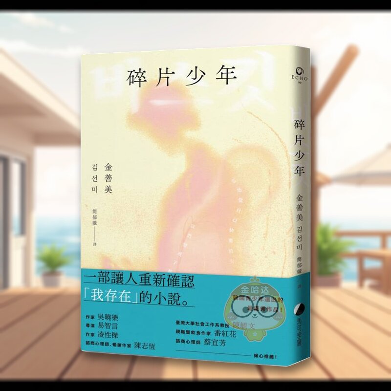 【预售】碎片少年 台版原版中文繁体翻译文学 金善美 城邦-馬可孛羅进口书籍图书外版正版