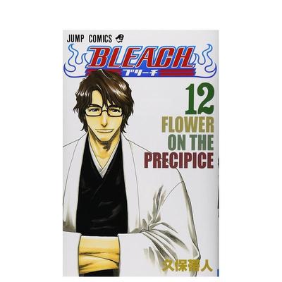 【现货】日版漫画 死神 12 BLEACH 12 日文漫画书日本原版进口图书 集英社 久保 帯人