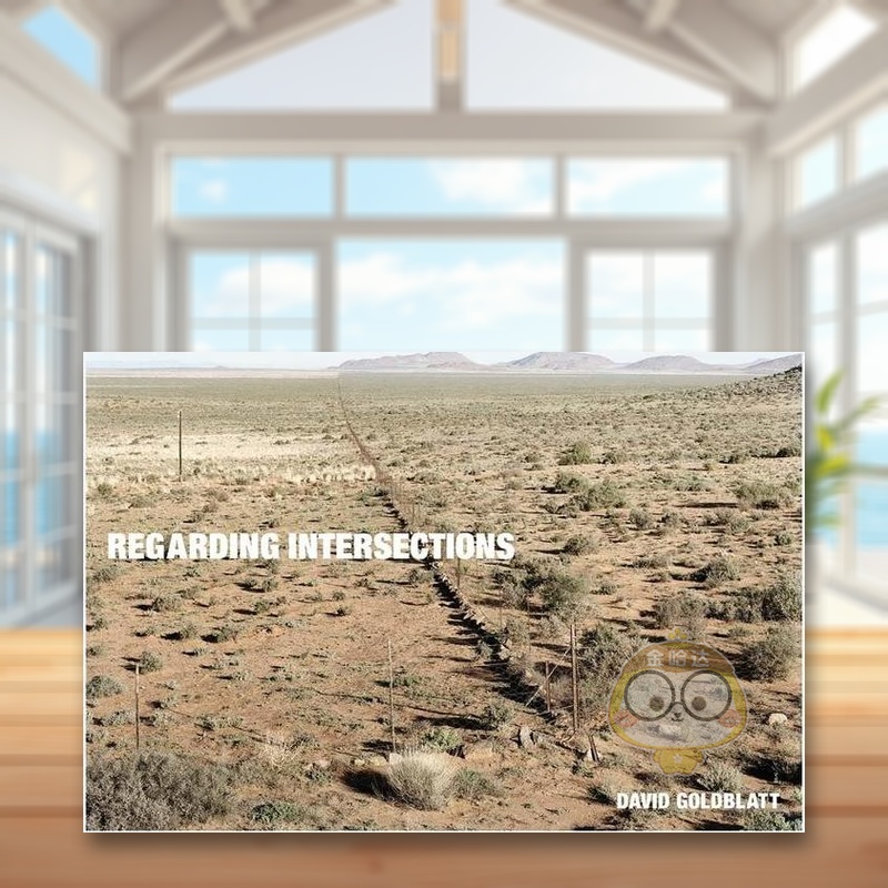 【预售】大卫·戈德布拉特：关于交叉点 David Goldblatt: Regarding Intersections 原版英文摄影作品集进口书籍图书外版正版