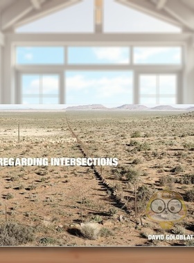 【预售】大卫·戈德布拉特：关于交叉点 David Goldblatt: Regarding Intersections 原版英文摄影作品集进口书籍图书外版正版