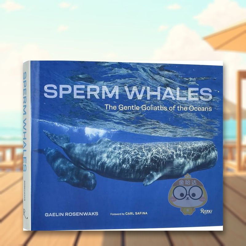 抹香鲸: 海洋中温柔的歌利亚