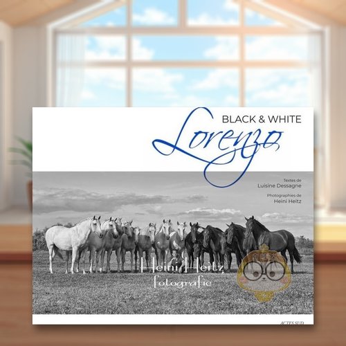 马术表演艺术家洛伦佐：黑与白