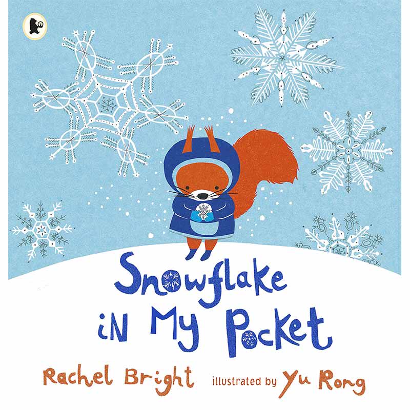 【现货】Snowflake in My Pocket，我口袋里的雪花 英文原版图书籍进口正版 Bright, R 儿童绘本-动物/生态/环保