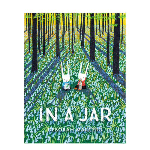 【现货】In a Jar 在一个罐子里 兔子友情绘本 插画家Deborah Marcero 英文原版书籍进口