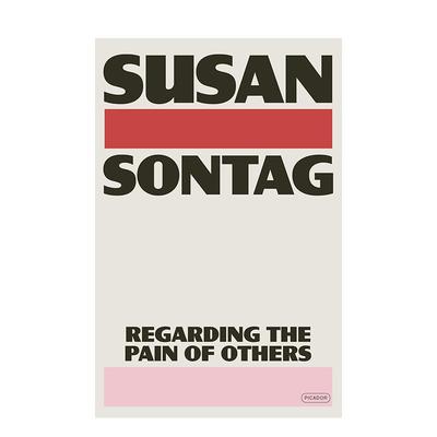 【现货】关于他人的痛苦 苏珊·桑塔格继《论摄影》后的又一摄影专著 Regarding the Pain of Others 原版英文摄影作品集技法