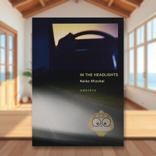 【现货】在灯下 日文艺术摄影集日版进口原版图书外版书籍IN THE HEADLIGHTS