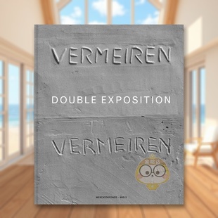 Vermeiren双重展示Didier Vermeiren英文艺术家艺术工作室Zoe 进口原版 预售 书97 Press精装 艺术家Didier University GrayYale
