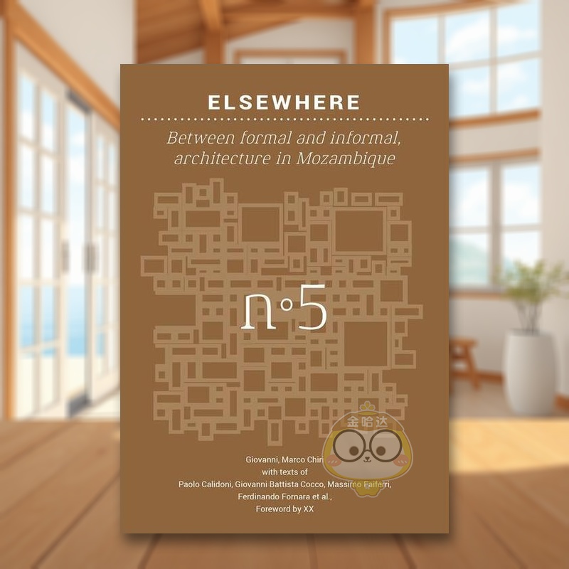 他方：正式与非正式之间：莫桑比