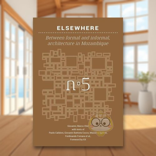 他方：正式与非正式之间：莫桑比