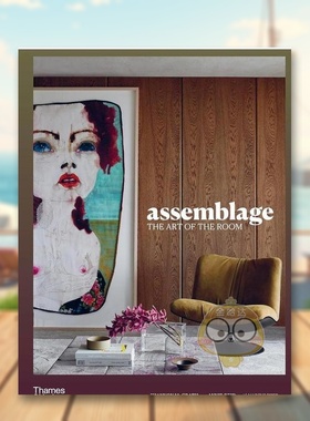 【现货】拼装房间的艺术 Shannon McGrath英文室内设计空间与装饰进口原版外版书Annie Reid 精装14岁以上Assemblage  The art o书