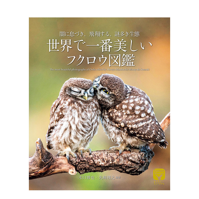 世界上美丽猫头鹰书：在黑暗中呼吸和飞翔的