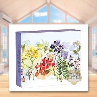 Meadow QuickNotes notecards英文文创卡牌teNeues盒装 书26书籍图书外版 水彩牧场问候卡Watercolor teNeues进口原版 正版 预售