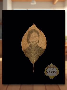 【预售】归属之谜英文摄影摄影师专辑进口原版外版书Binh Danh: The Enigma of Belonging Binh Danh Radius Books书籍图书正版