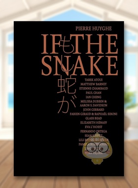 【现货】皮埃尔于热蛇Pierre Huyghe英文博物馆展览私人收藏画册Pierre HuygheWalther Konig Verlag精装进口原版书6780书籍图书外