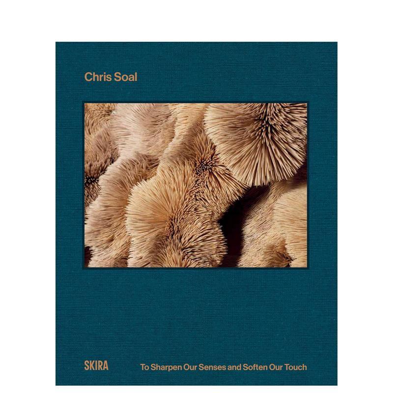 【预售】克里斯·索尔 锐化感官，柔化触觉英文进口原版艺术画册画集外文图书Nadine Barth, Natasha D. Becker, Marta Papini