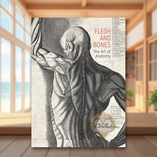 艺术Flesh and Publications精装 现货 进口原版 Trust 肉体与骨骼解剖学 KornellGetty Bones英文艺术总论历史理论评论Monique
