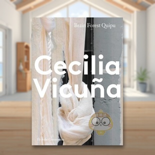 奇普装 现代委托智利艺术家塞西莉亚维纳 置展Hyundai Commission英文博物馆展览私人收藏画册Cecilia Publish VicunaTate 预售