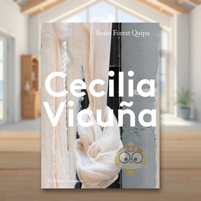 【现货】现代委托智利艺术家塞西莉亚维纳 奇普装置展Hyundai Commission英文博物馆展览私人收藏画册Cecilia VicunaTate Publish