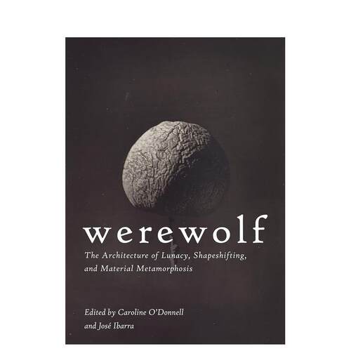 狼人传说 Werewolf 原