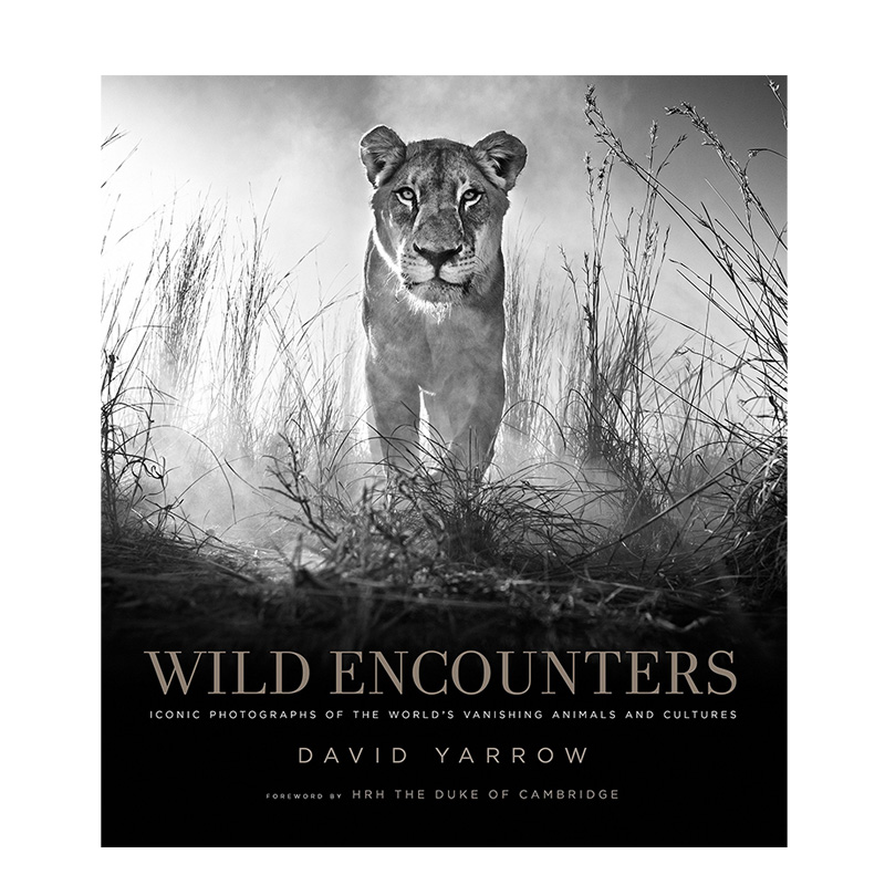 【现货】Wild Encounters正在消失的野生动物 David Yarrow大卫·亚罗