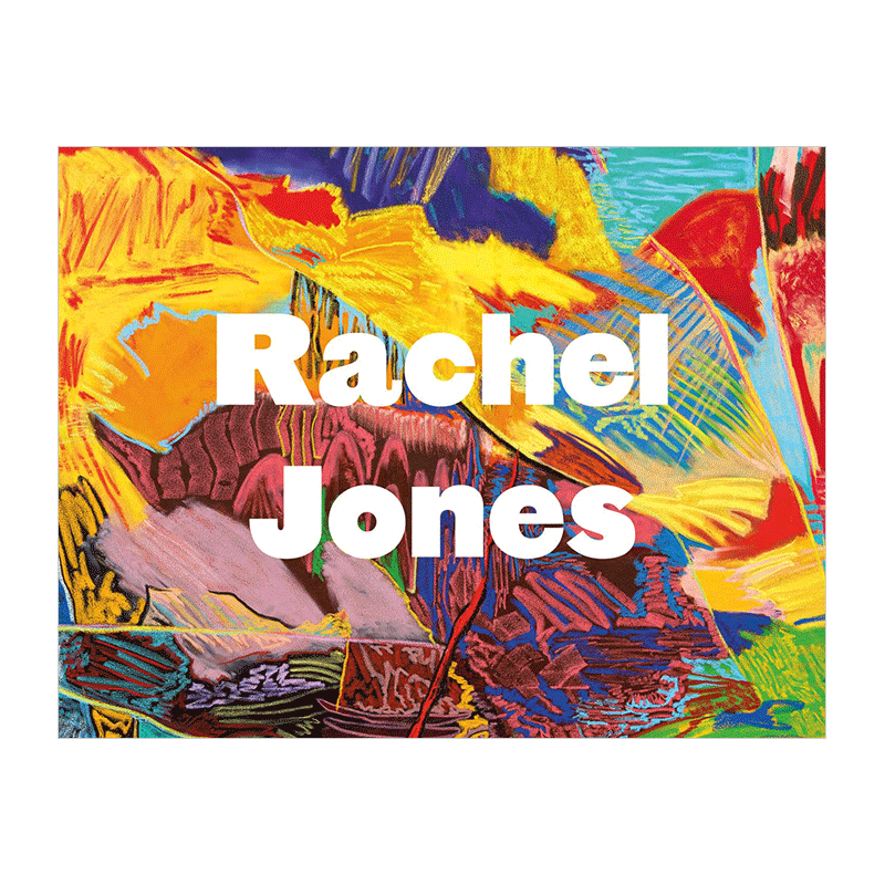【预售】rachel jones: say cheeeeese,雷切尔·琼斯:说茄子 英文原版