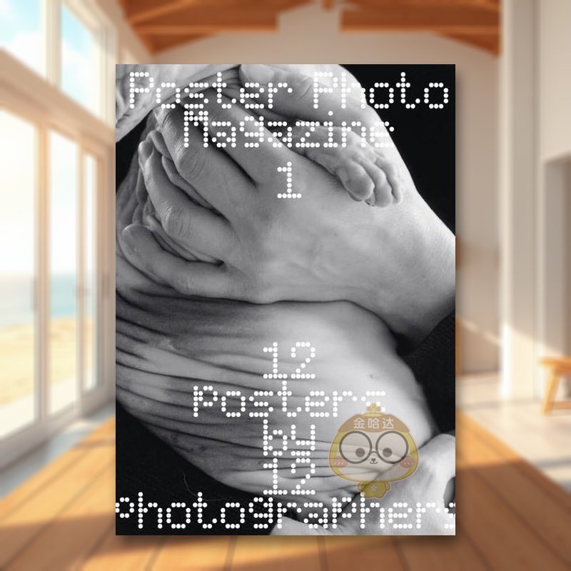 海报摄影杂志 Poster P