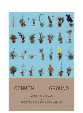 【现货】Adam Silverman: Common Ground,洛杉矶艺术家Adam Silverman：共同点 英文原版图书籍进口正版 艺术