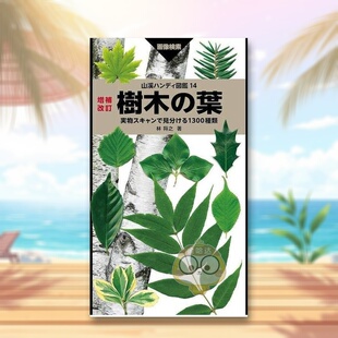 书籍山溪ハンディ図鑑 预售 进口原版 葉 增补修订版 樹木 树木之叶 実物スキャンで見分 日文艺术图鉴日版 増補改訂 图书外版