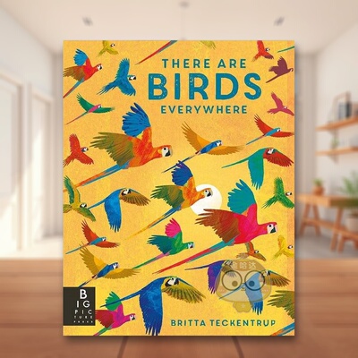 【预售】【博洛尼亚获奖插画师Britta Teckentrup】随处可见的鸟类（平装版）英文儿童绘本知识百科进口原版外版书平装3-6周岁Th书