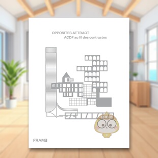 【预售】异性相吸：ACDF随对比而行—马克西姆·弗拉皮尔与弗朗索瓦-吕克·吉拉尔多对话 Opposites Attract 原版英文建筑设计