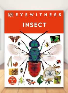 【现货】【DK视界】昆虫【DK Eyewitness】Insect英文儿童绘本动物生态环保DK Chidren精装3-6岁DK Children进口原版书241617书籍