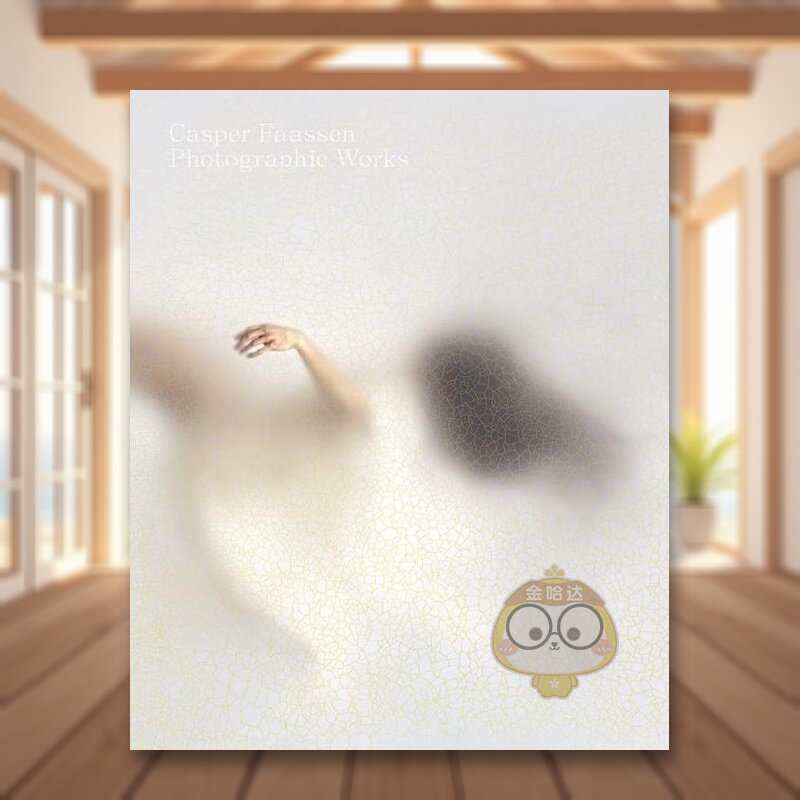 【现货】荷兰视觉艺术家Casper Faassen:摄影作品英文摄影集摄影师专辑精装进口原版外版书Casper Faassen:Photographic Works书籍