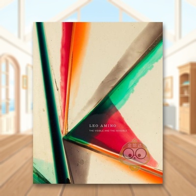 【现货】日裔美国艺术家Leo Amino：可见与不可见英文艺术家艺术工作室进口原版外版书精装14岁以上Leo Amino: The Visible and书