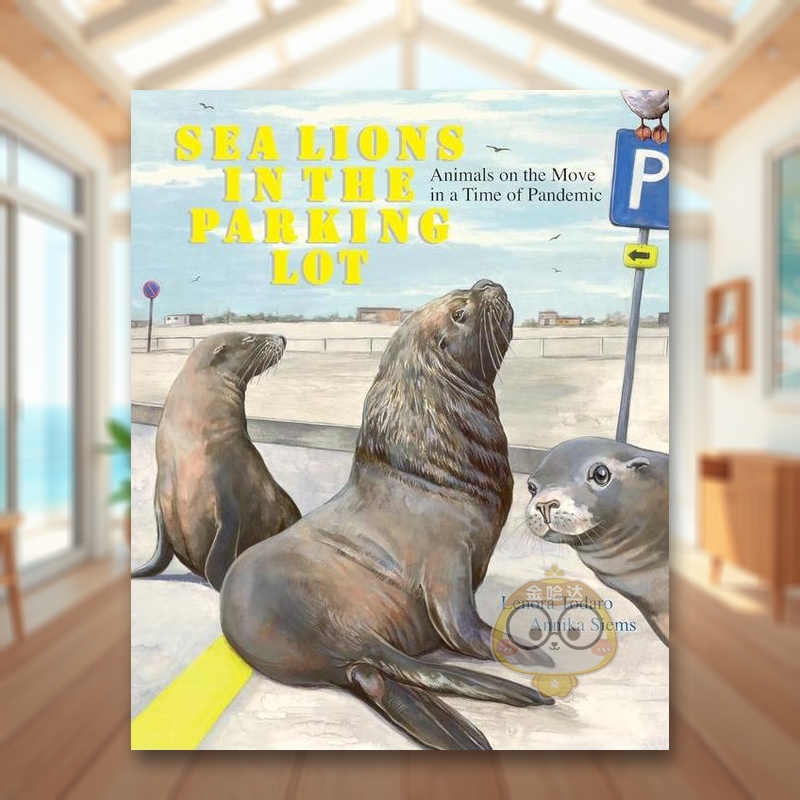 海狮在停车场里 Sea Lio