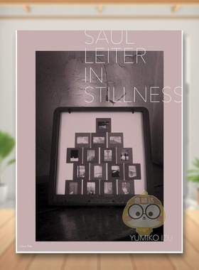 【预售】索尔·雷特摄影集：在寂静中 日文艺术摄影集日版进口原版图书外版书籍Saul Leiter: In Stillness