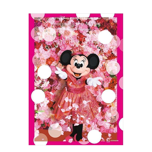 【现货】东京迪士尼×日本摄影师蜷川实花 合作摄影集 BLOOMING COLORS 日文商业摄影作品集原版进口图书 米妮老鼠