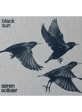 【现货】丹麦摄影师索伦·索尔凯尔：黑太阳 Soren Solkaer:Black Sun 英文原版鸟类摄影作品集 精装自然艺术画册书籍 椋鸟的嘀咕