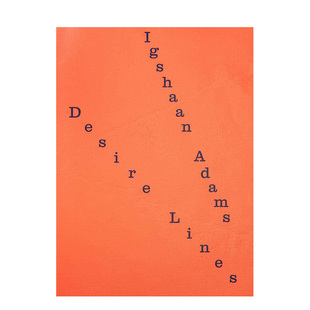 Igshaan Adams Desire 英文原版 南非艺术家伊格尚·亚当斯：欲望线 Lines 雕塑纤维作品集进口收藏艺术画册书籍 预售